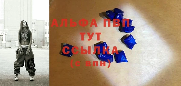 эйфоретик Баксан
