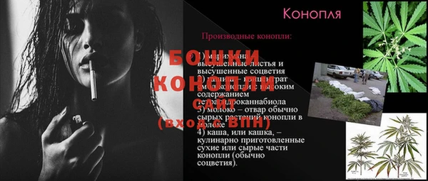 шишки Аркадак