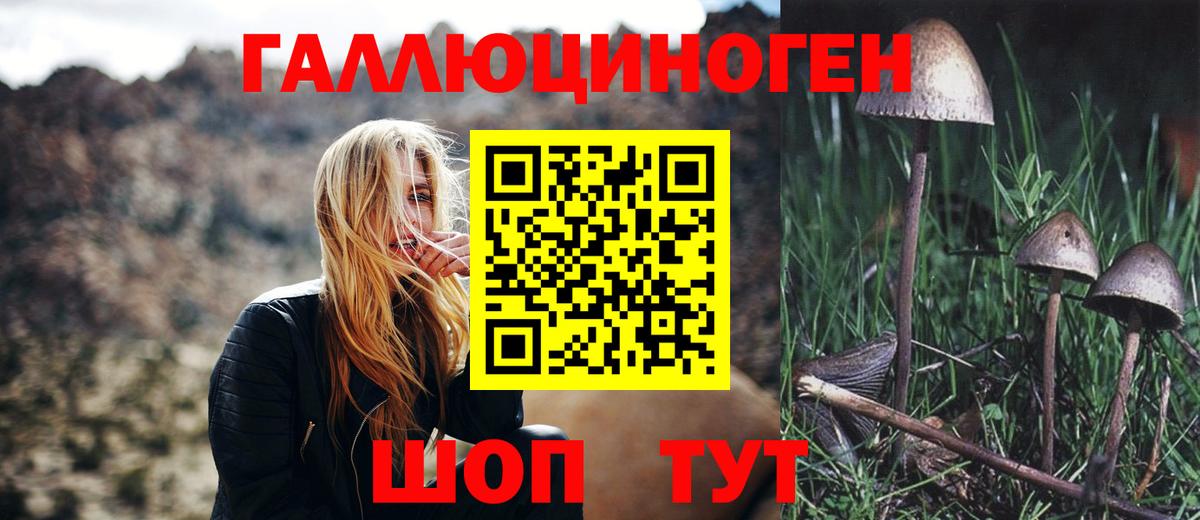 Псилоцибиновые грибы ЛСД  цены   Дальнегорск  Вход с VPN 